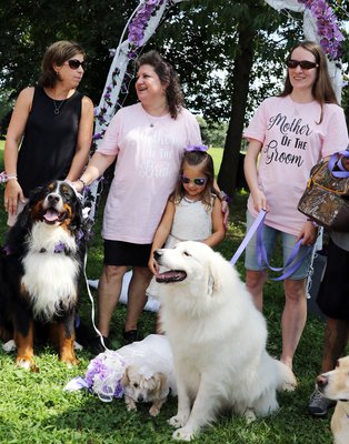 dog wedding 1