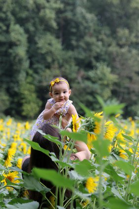 flowers 6